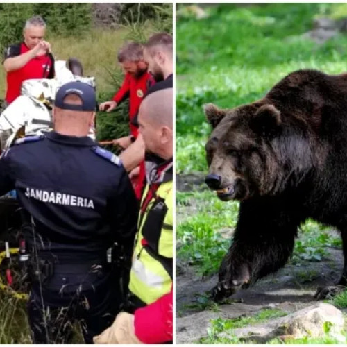 Atacat de Urs Lângă Vidraru - Femeie Salvată de SMURD și Jandarmi în Urgență!