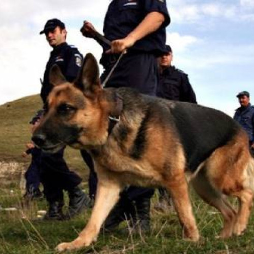 Alertă! Copil de 15 ani dispărut fără urmă! Poliția și părinții cer ajutor!
