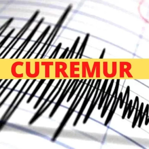 Cutremur în România, înregistrat în zona periculoasă! A fost panică după seismul de 3,3 grade înregistrat de INFP în Vrancea