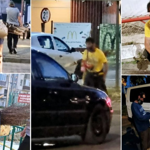 Poliția Locală Pitești cere cetățenilor: &quot;Nu le mai dați nimic!&quot;