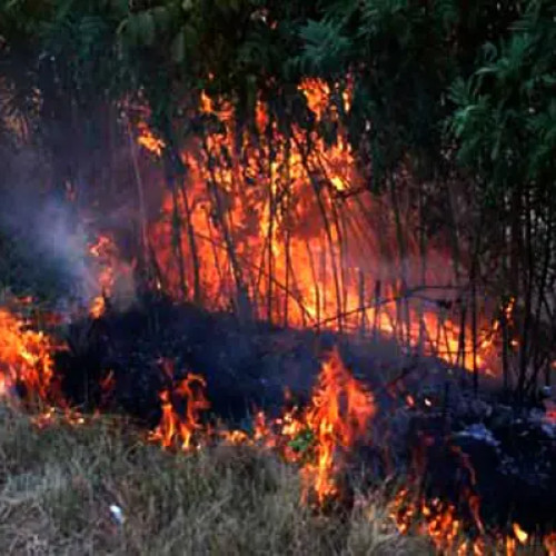 Incendii de vegetație și deșeuri menajere în mai multe localități