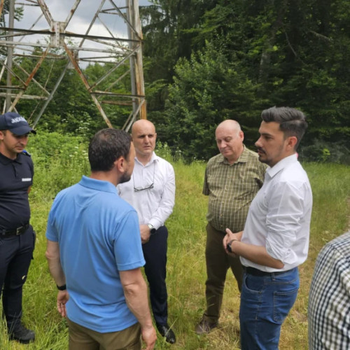 Urșii de pe Transfăgărășan vor fi relocați în sanctuarul de la Zărnești