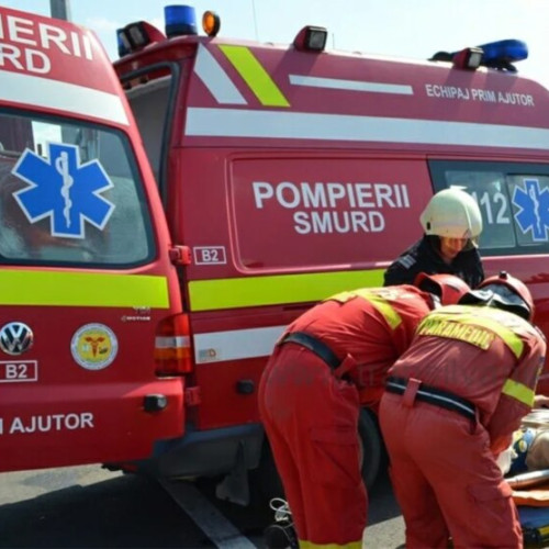 Incident tragic în Argeș: Bărbat sfâșiat de câinele vecinei