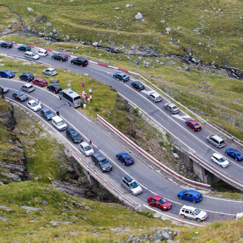 Hrănirea urșilor pe Transfăgărășan, sub supraveghere